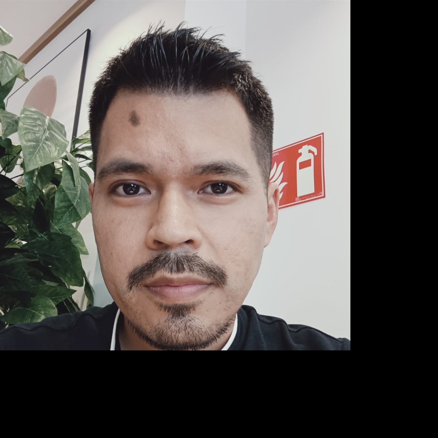 Marco profile photo